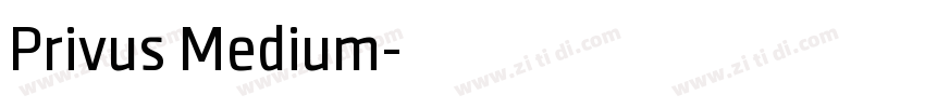 Privus Medium字体转换